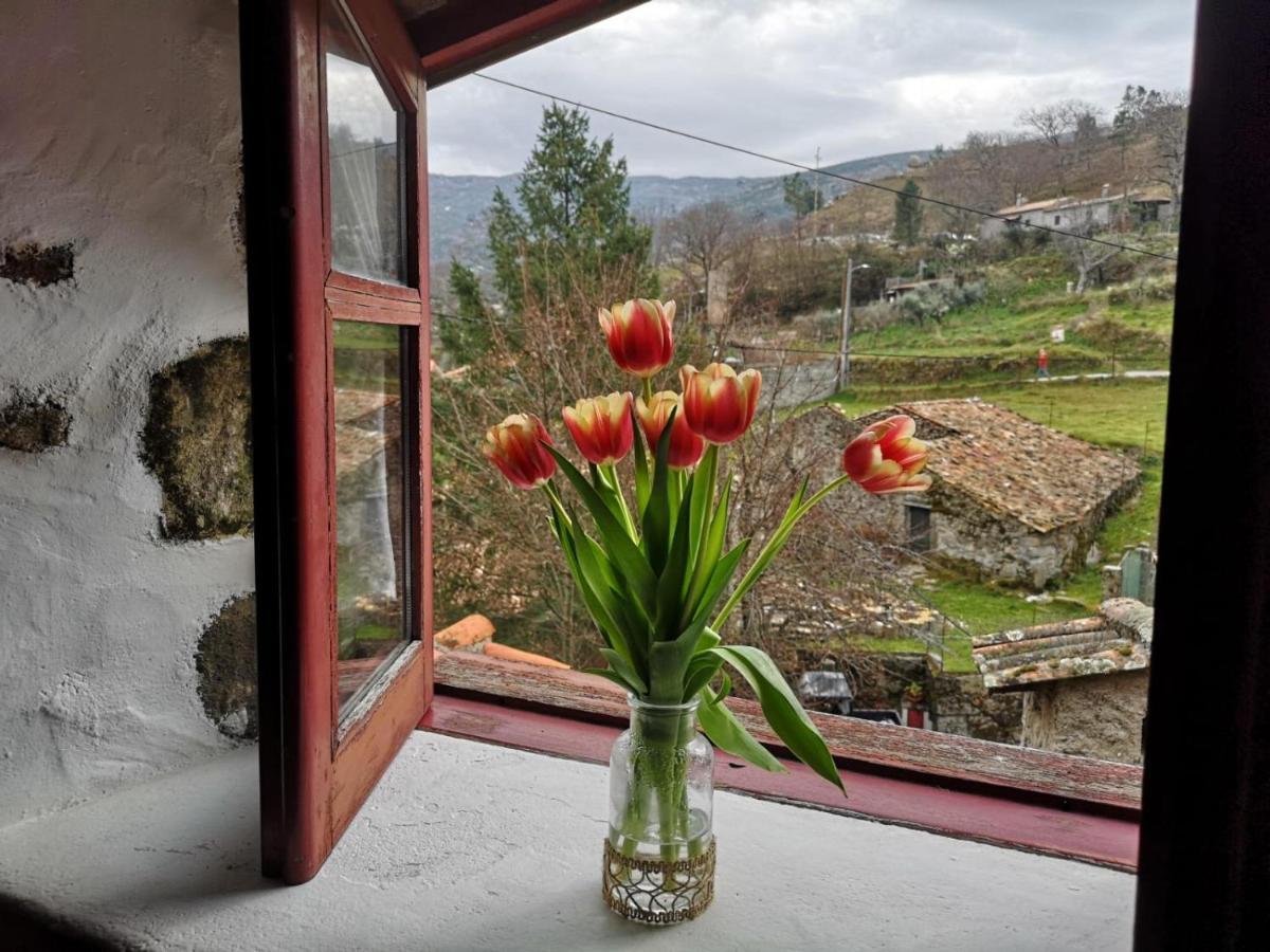 Villa Casas Na Terra Seia Esterno foto